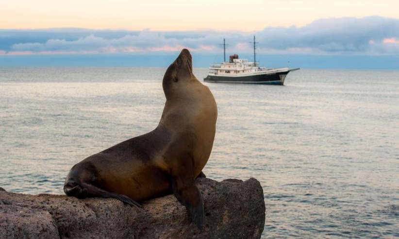 The joy of the Galapagos