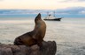 The joy of the Galapagos