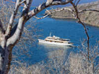 The classic M/Y Grace at Tagus Cove, Galapagos Islands, Pacific Ocean