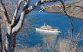 The classic M/Y Grace at Tagus Cove, Galapagos Islands, Pacific Ocean