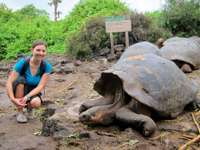 Galapagos