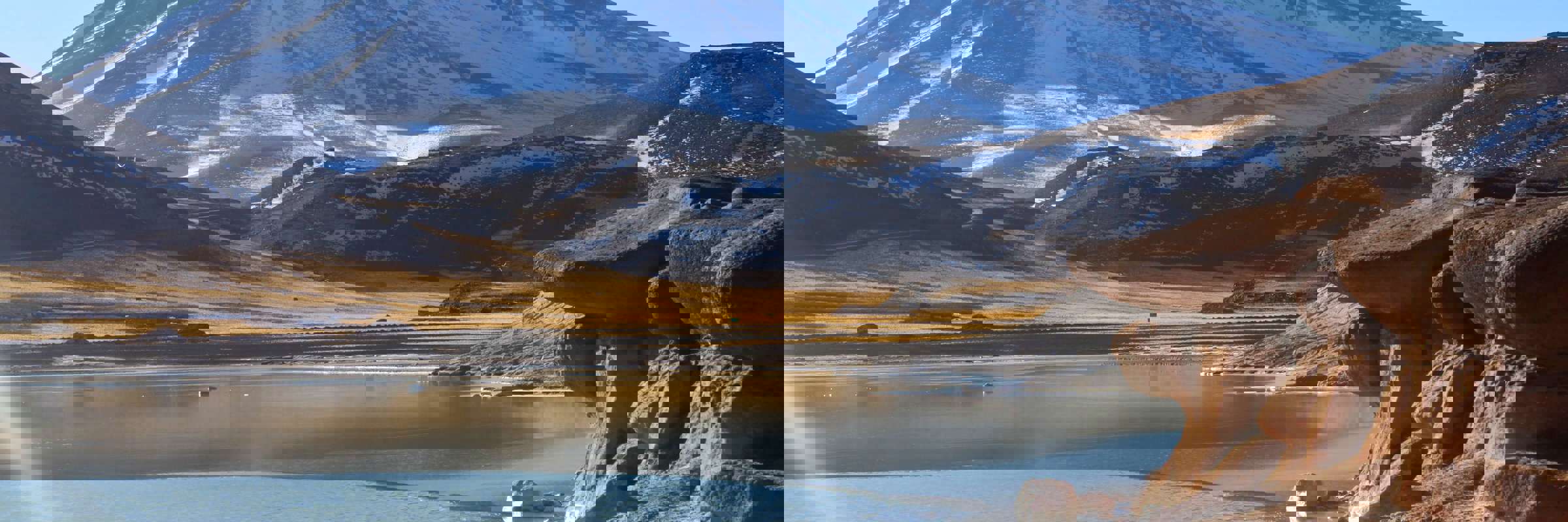 9417939739 A236498083 O