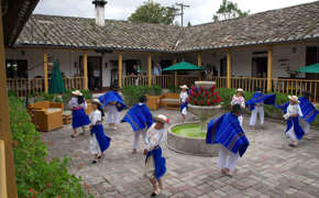 Traditional Danse 