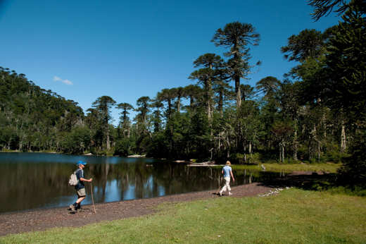 Country walks in the Lake Region