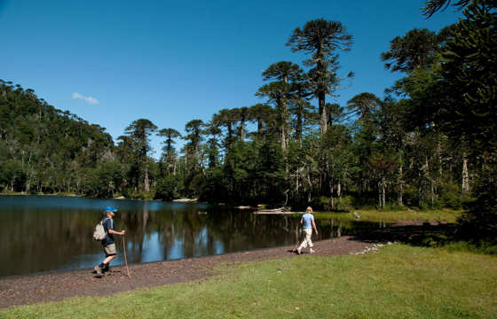 Country walks in the Lake Region