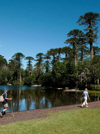 Country walks in the Lake Region