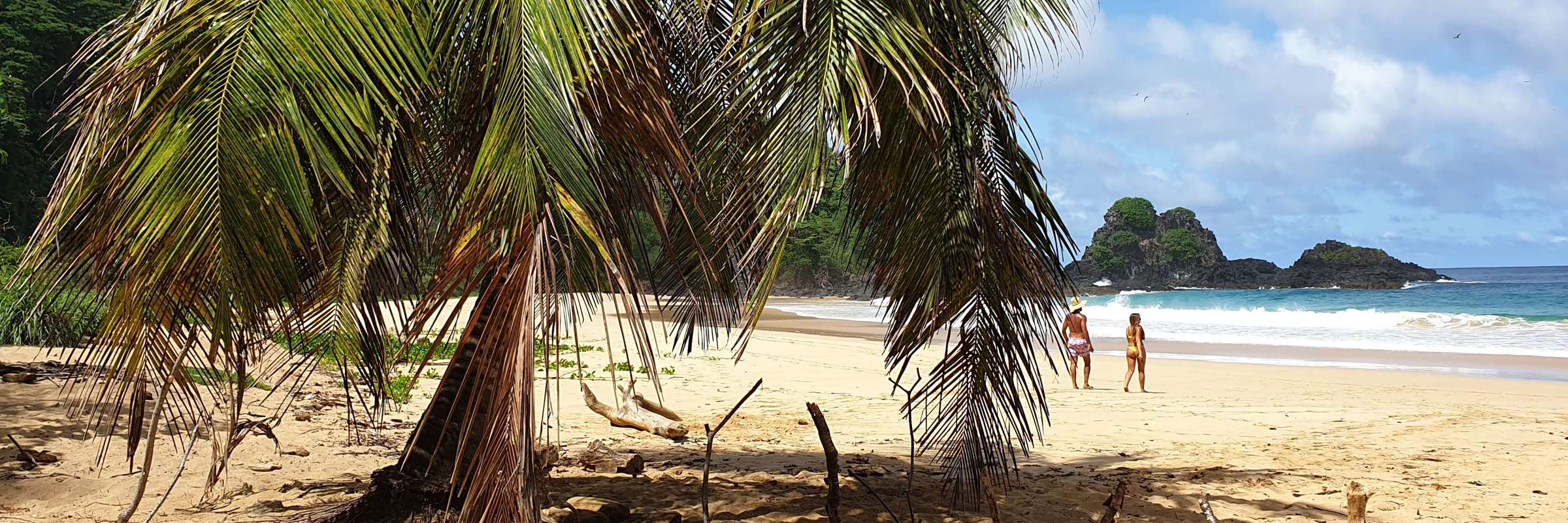 Palm tree on tropical beach in Fernando de Noronha with golden sand, blue skies, and people walking along the shoreline. 