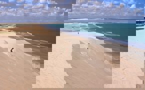 Huge sand dunes