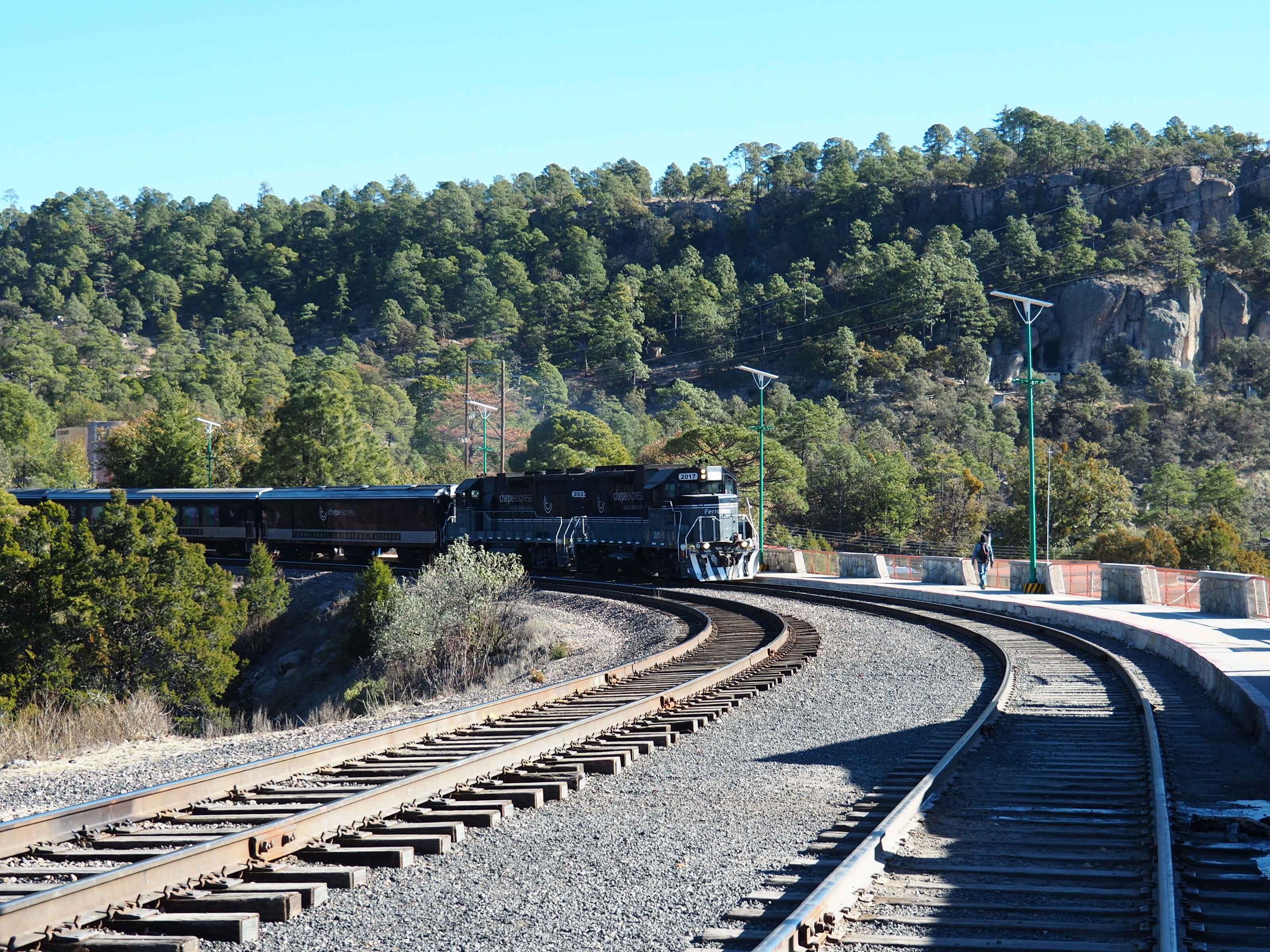 The Chepe Express train winds through the pine-covered mountains along the Copper Canyon railway route in northern Mexico. 