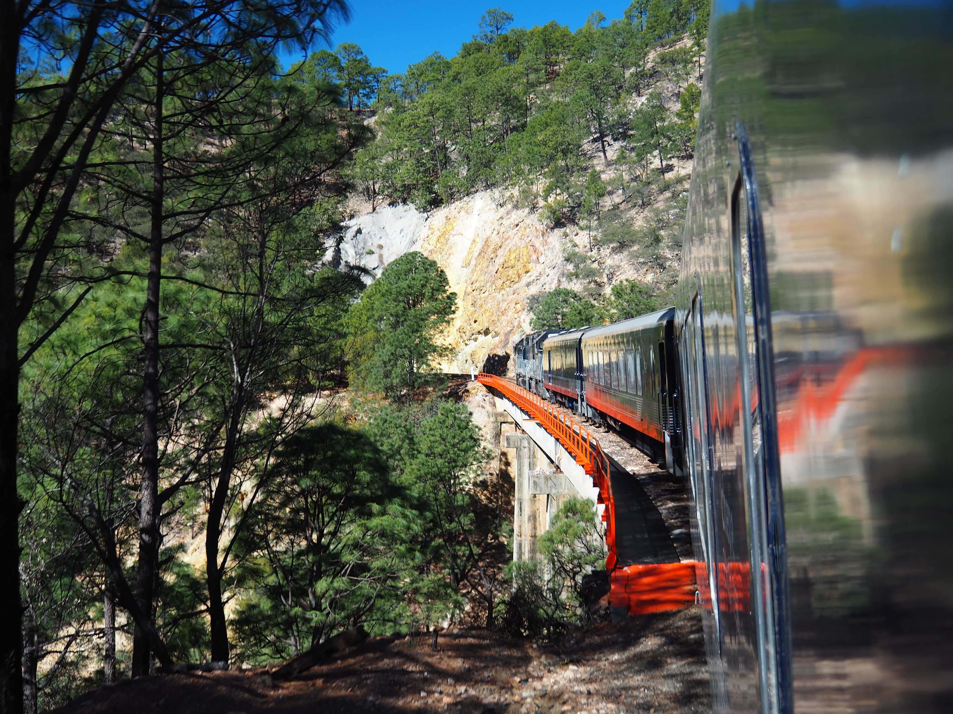 The El Chepe train winding through forested cliffs and over a bridge in Mexico's Copper Canyon. 
