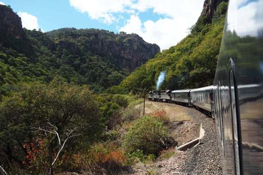 El Chepe train curving through the mountains and lush canyons of Mexico's Copper Canyon. 