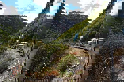 P2191063