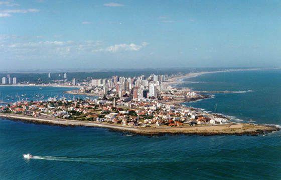 Punta del Este Aerial with beach and pine trees behind