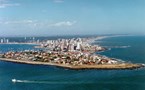 Punta del Este Aerial with beach and pine trees behind