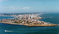 Punta del Este Aerial with beach and pine trees behind