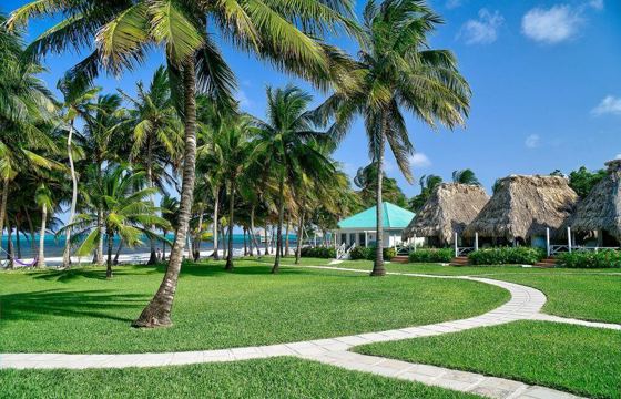 Beautiful gardens 