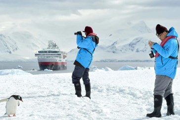 Découverte des pingouins de l’Antarctique 