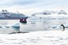 Navire Le Boréal en Antarctique