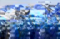 Patagonian Glaciers