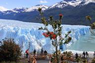 Perito Moreno Glacier
