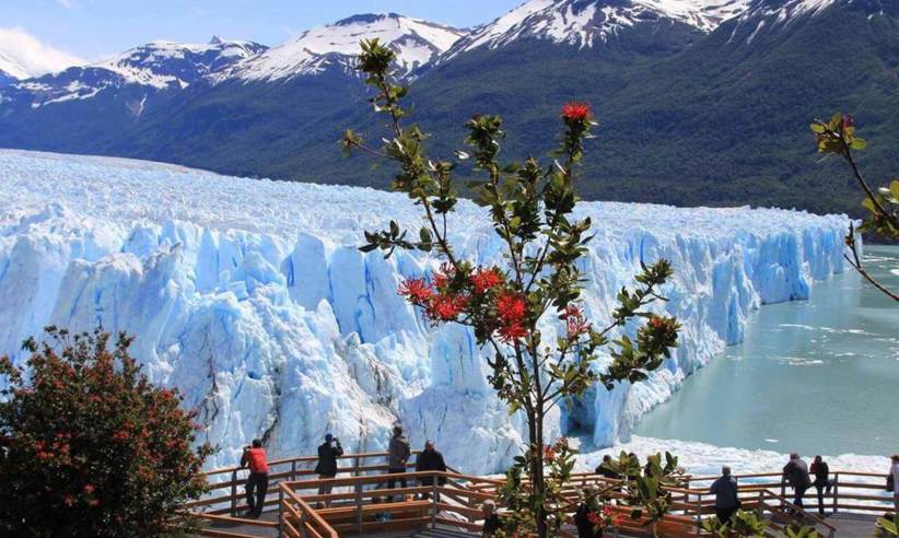Perito Moreno Glacier