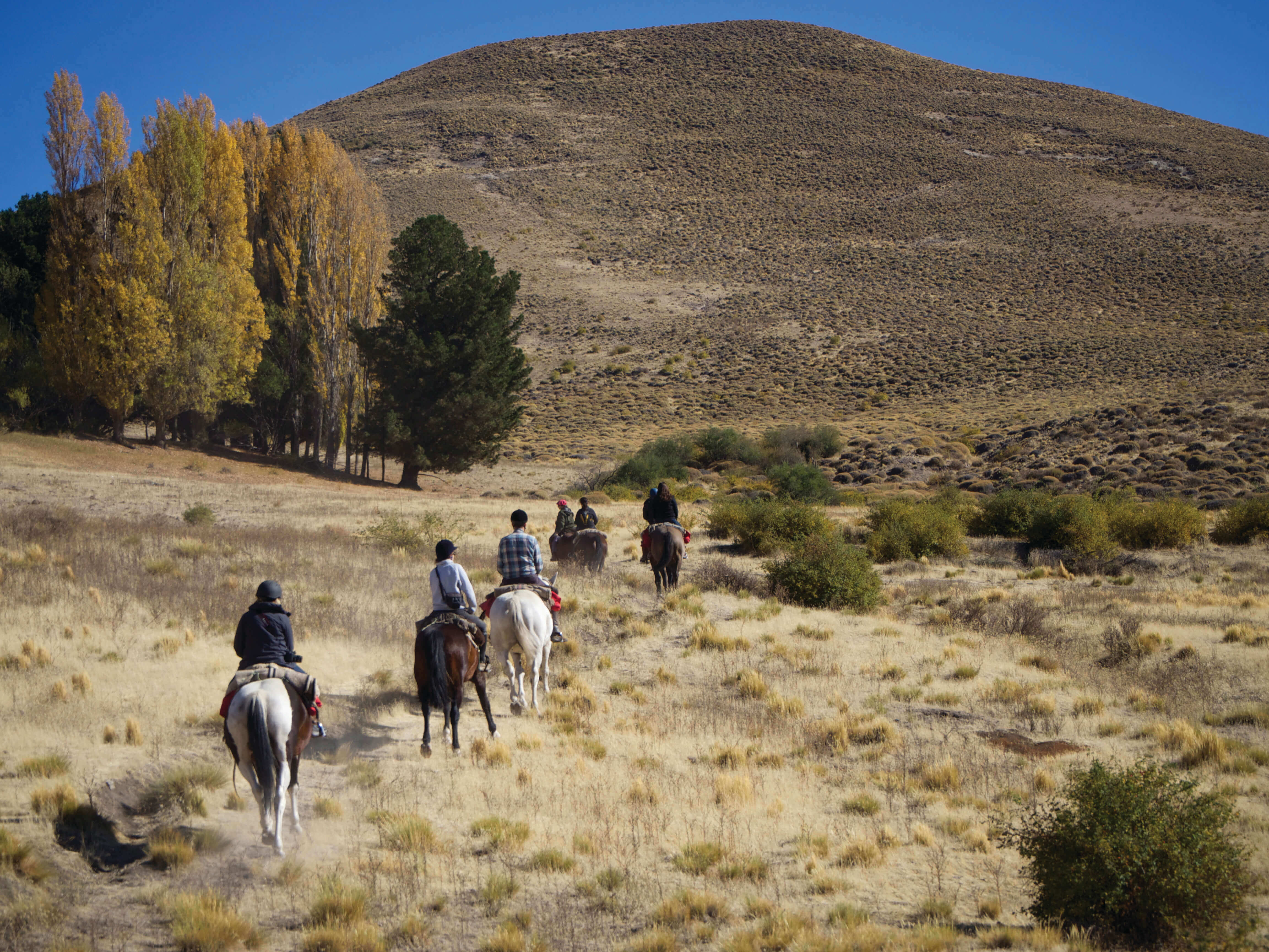 Cabalgata in the Andes
