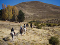 Cabalgata in the Andes