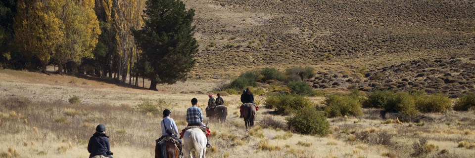 Cabalgata in the Andes