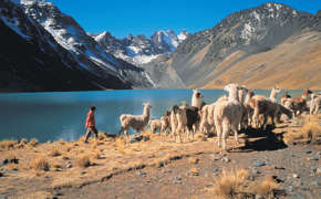 Remote Mountain Landscapes & Local Life