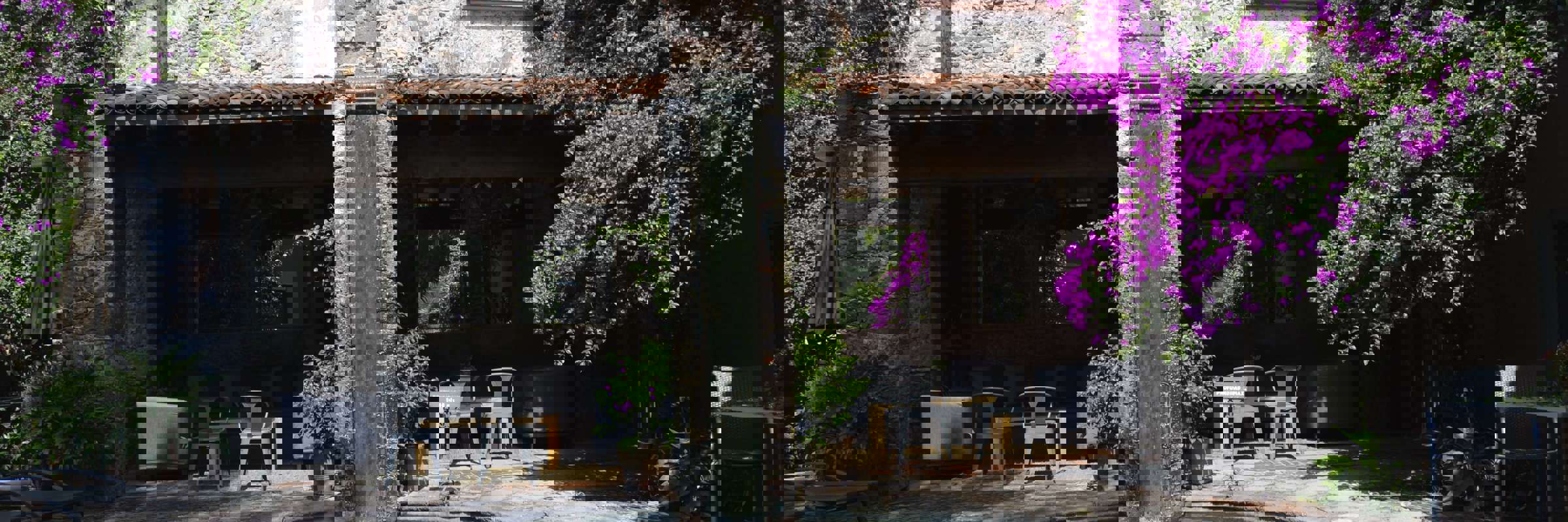 DSC0170