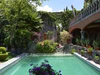 Charming colonial courtyard with swimming pool and lush garden in San Miguel de Allende, Mexico. 