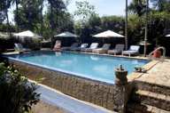 The pool