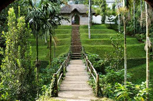 Discover spice gardens, exotic plants and wildlife
