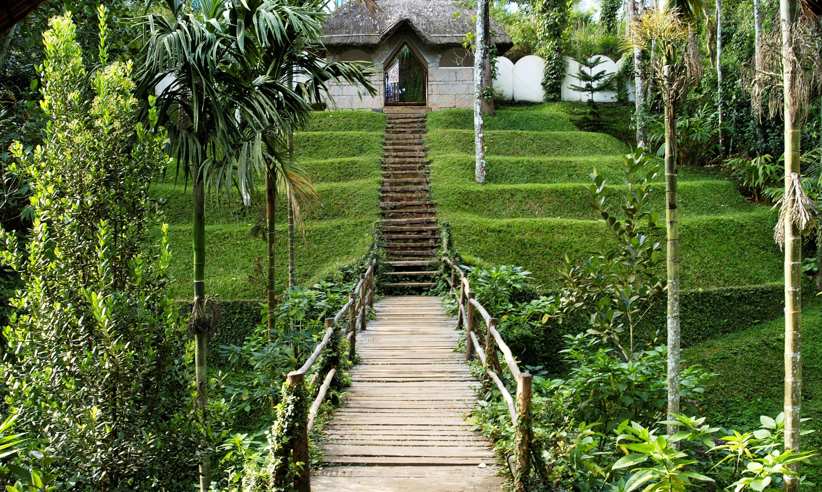 Discover spice gardens, exotic plants and wildlife