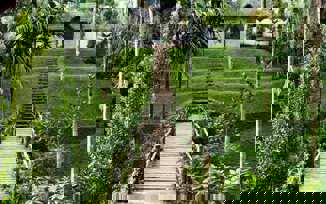 Discover spice gardens, exotic plants and wildlife