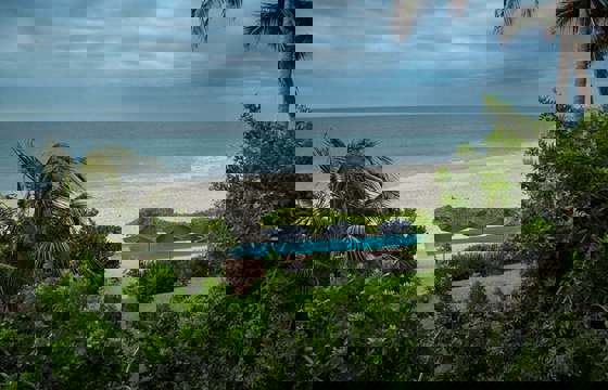 Tropical palms frame serene ocean waves at Kichic's peaceful beachfront hideaway in Mancora. 