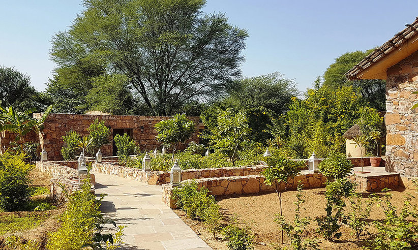 Delightful Gardens