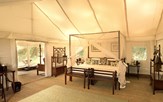 Your Luxury Tent