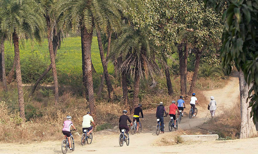 Cycling Adventures