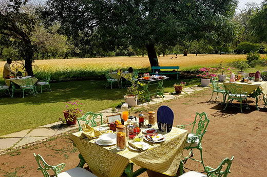 Most Meals Are Al Fresco
