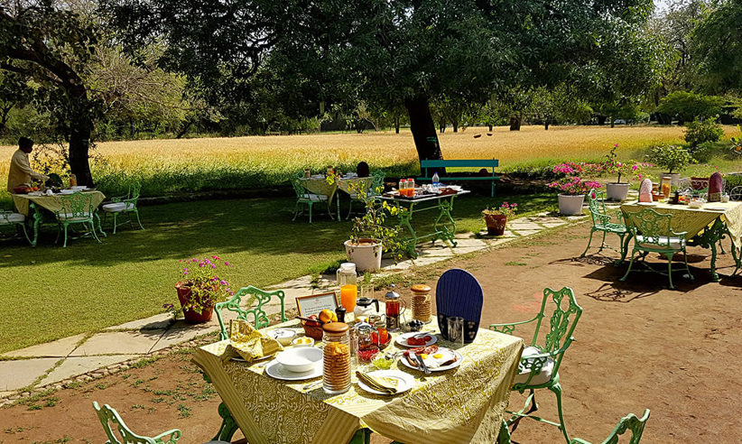 Most Meals Are Al Fresco
