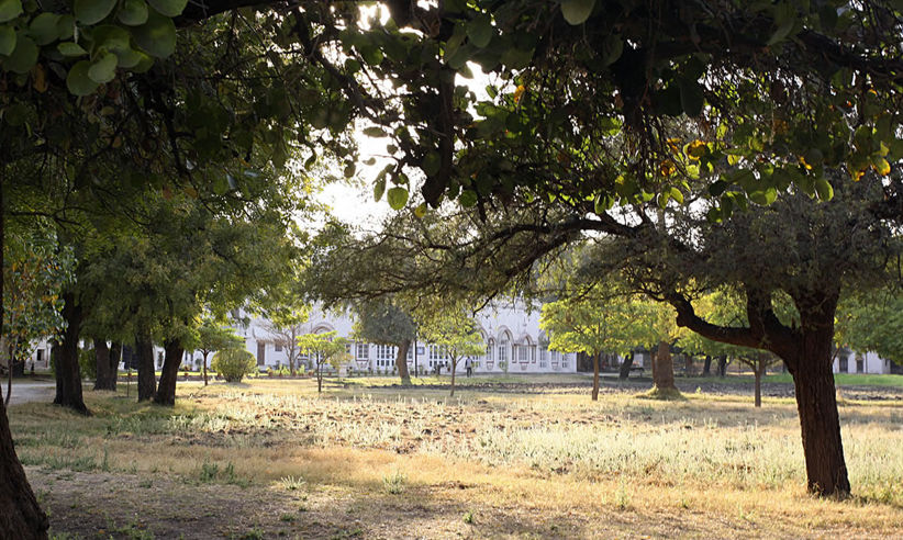 Shahpura Bagh Gardens