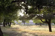 Shahpura Bagh Gardens