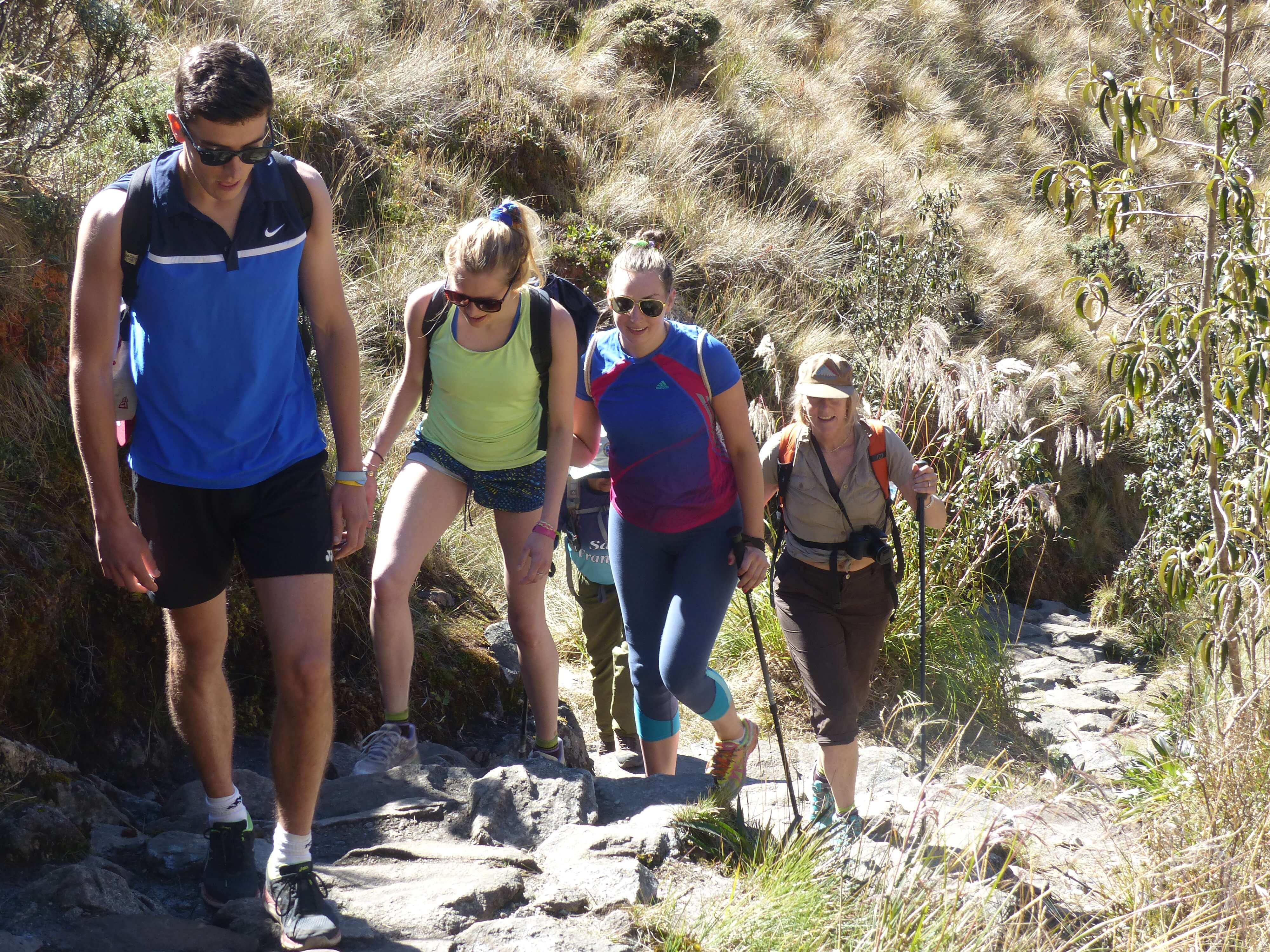 Adventurous hikers trek the sunlit stone paths of the Inca Trail through Peru's Sacred Valley. 