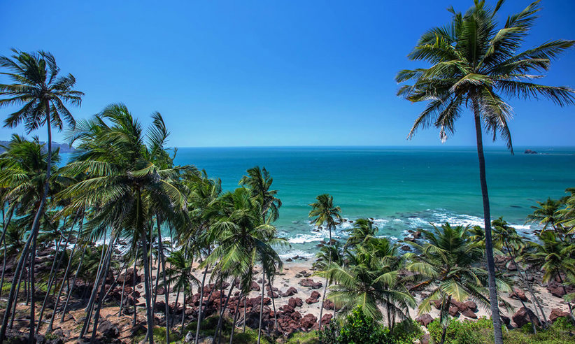 The Secluded Beach