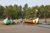 Local Fisherman On The Beach