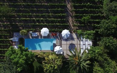 Image for: Finca Adalgisa Pool Vineyards