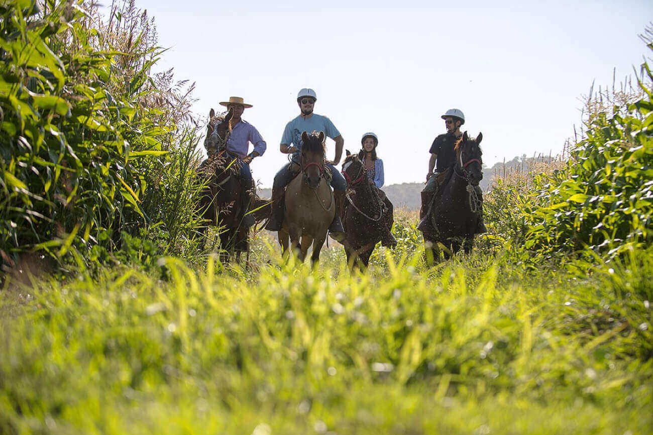 Explore by horseback