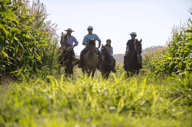 Explore by horseback