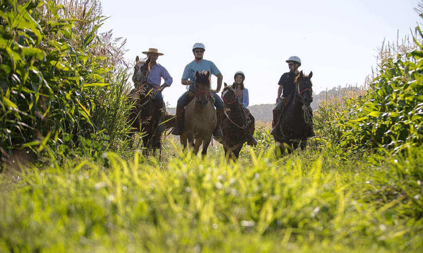 Explore by horseback